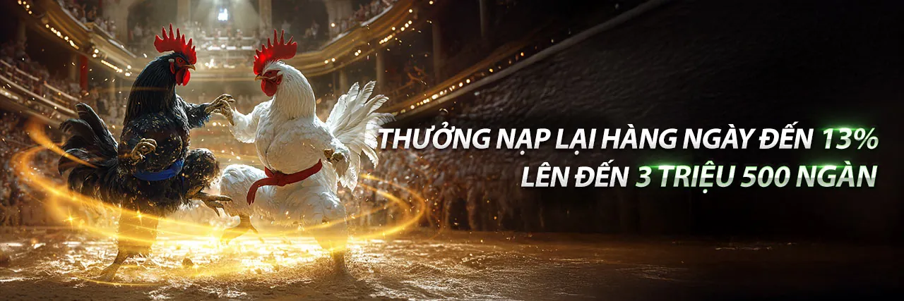 Đá gà Thomo trực tiếp đầy kịch tính